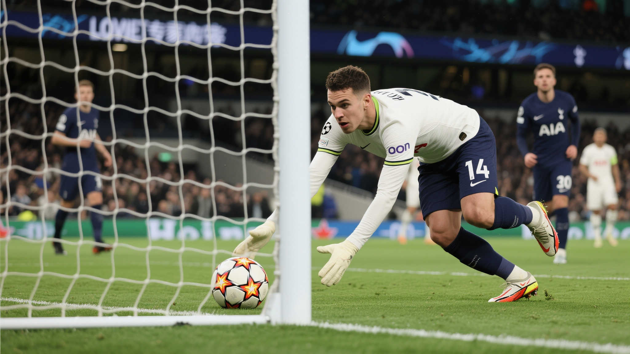 世界杯平台平台简介